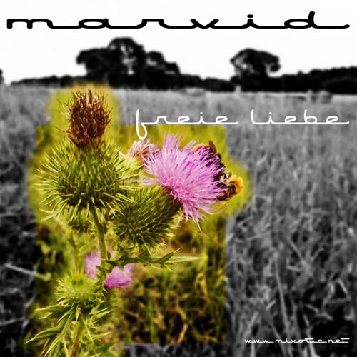 Mixotic 082 - Marvid - Freie Liebe